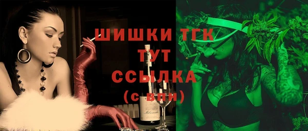 сатива Абинск