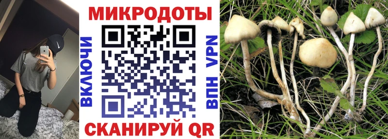 darknet какой сайт  Таштагол  Галлюциногенные грибы прущие грибы  цены наркотик 